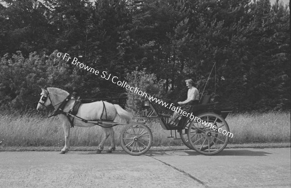 GLASLOUGH HOUSE  MISS BARBARA VINCENT JONES IN BUGGY